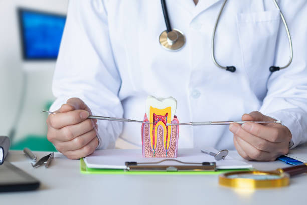 Best Emergency Orthodontic Repairs in Arnold, PA